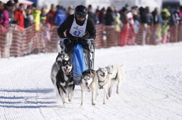 Lenk 2013